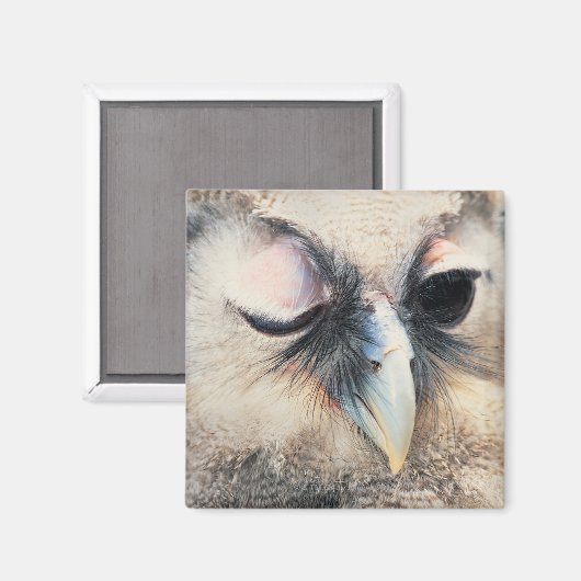 Winking Owl Magnet (Vorderseite/Rückseite)