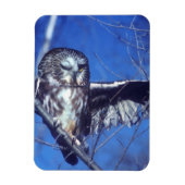 Winking owl magnet (Vertikal)
