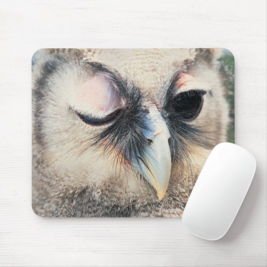 Winking Owl Mousepad (Mit Mouse)