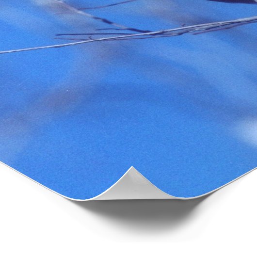 Winking owl poster (Ecke)