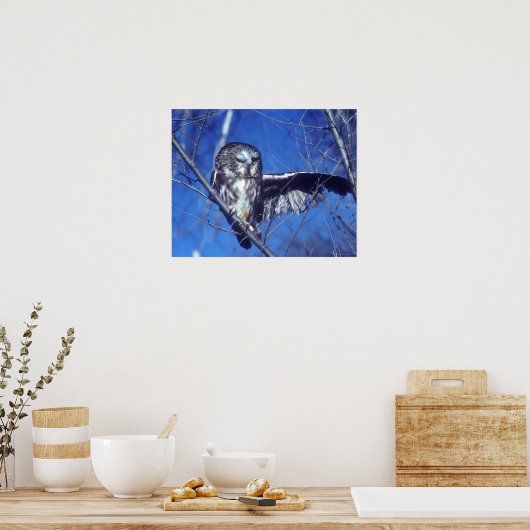 Winking owl poster (Küche)