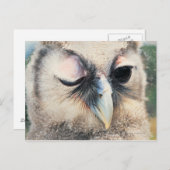 Winking Owl Postkarte (Vorne/Hinten)
