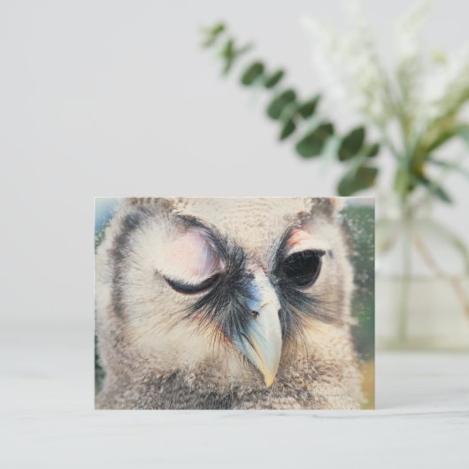 Winking Owl Postkarte (Stehend Vorderseite)