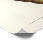 Winking Owl von Elizabeth Gould Poster (Ecke)