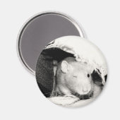 Winking Rat Magnet (Vorderseite/Rückseite)