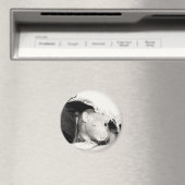 Winking Rat Magnet (In Situ (Geschirrspüler))