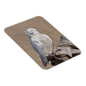 Winking Snowy Owl Magnet (Rechte Seite)