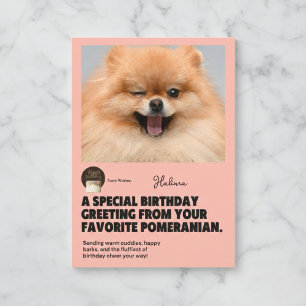 Winking Spitz Geburtstagskarte Karte
