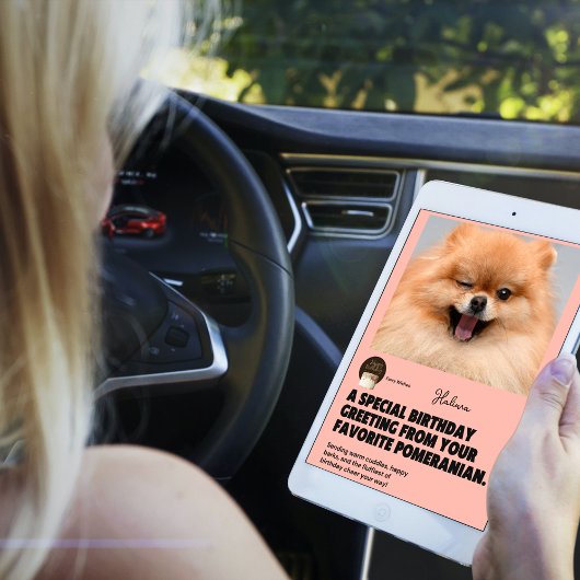 Winking Spitz Geburtstagskarte Karte