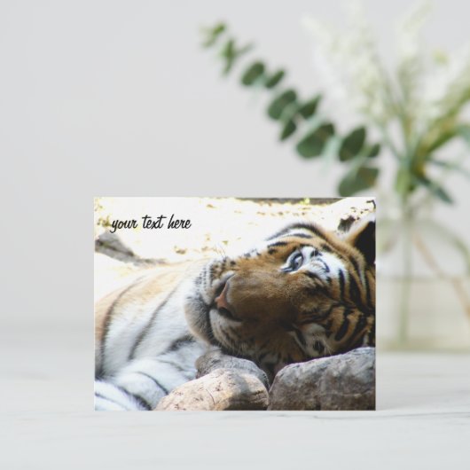 Winking Tiger Postkarte (Stehend Vorderseite)