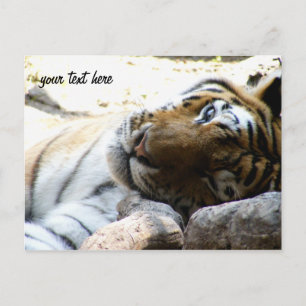 Winking Tiger Postkarte