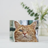 Winky Funny Cat Postkarte (Stehend Vorderseite)