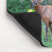 Winkypad Mousepad (Ecke)