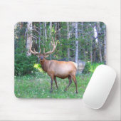 Winkypad Mousepad (Mit Mouse)