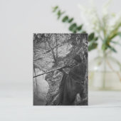 Winnebago Indischer Chefente Jagd Graustufen Postkarte (Stehend Vorderseite)