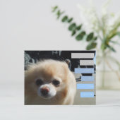 Winnie's Quotes Postkarte (Stehend Vorderseite)