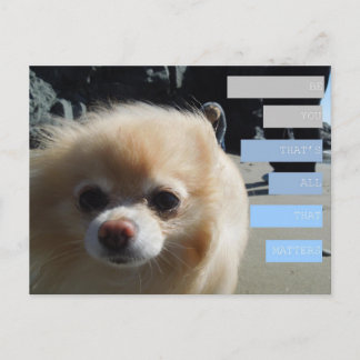 Winnie's Quotes Postkarte