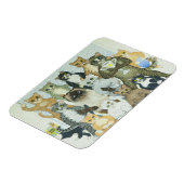 Winning Magnet (Linke Seite)