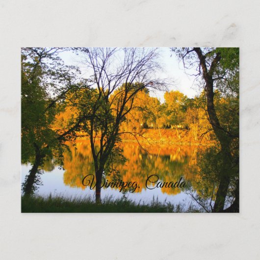 Winnipeg Herbst Postkarte (Vorderseite)
