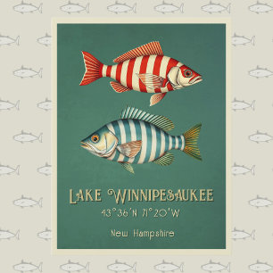Winnipesaukee New Hampshire Fisch Postkarte