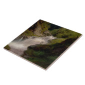 Winona Falls (US-Landschaft) (von Hermann Herzog) Fliese (Seite)