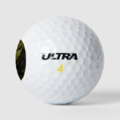 Winona Falls (US-Landschaft) (von Hermann Herzog) Golfball (Logo)