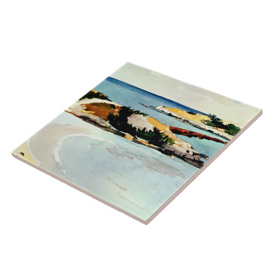 Winslow Homer - Galeainsel Fliese (Seite)