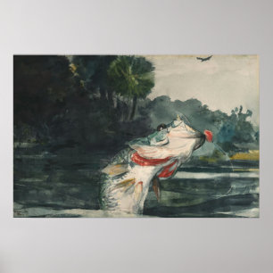Winslow Homer Life Größe Schwarzer Bass Poster
