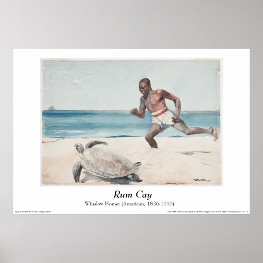Winslow Homer - "Rum Cay" Poster (Vorne)