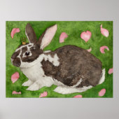 Winslow Rex Poster (Vorne)