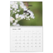 Winsome Wasps Calendar Kalender (Jan 2027)