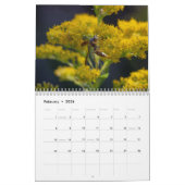 Winsome Wasps Calendar Kalender (Feb 2026)