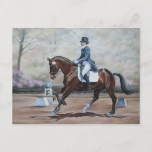 Winsor in Dressage Postkarte