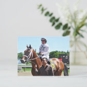 Winstar Farm's King Cyrus Postkarte (Stehend Vorderseite)