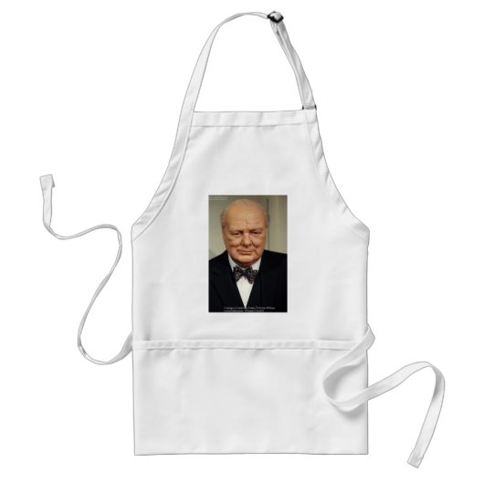 Winston Churchill Failure Wisdom Zitat Geschenke Schürze (Vorne)