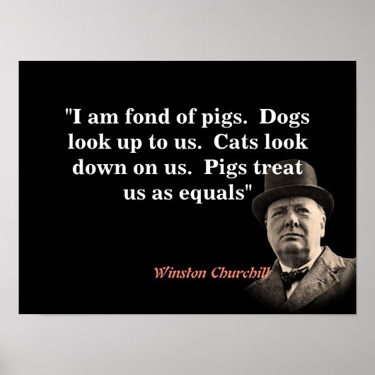 Winston Churchill Zitat über Schweine Poster (Vorne)