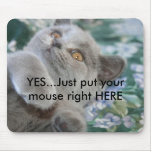 Winston die Katze Mousepad