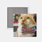 Winston Magnet (Vorderseite/Rückseite)