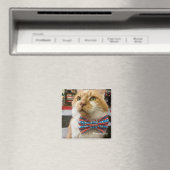 Winston Magnet (In Situ (Geschirrspüler))