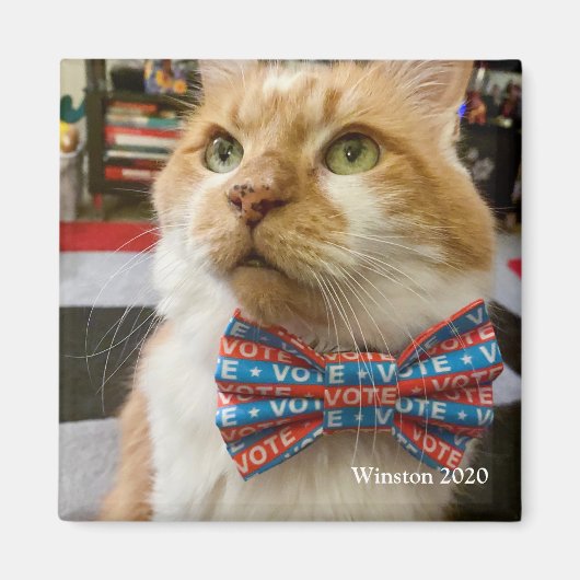 Winston Magnet (Vorne)