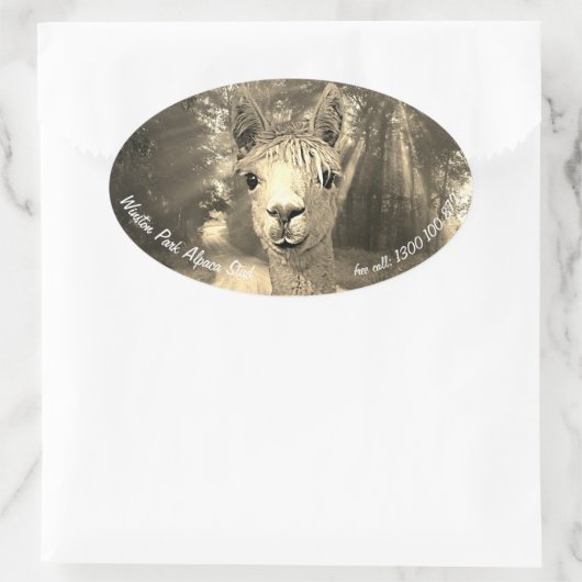 Winston Park-Alpaka-Bolzen Ovaler Aufkleber (Tasche)