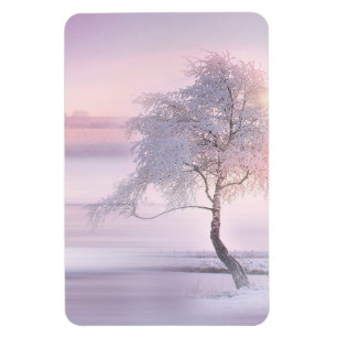 Winter 05 magnet