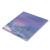 Winter 08 fliese (Seite)