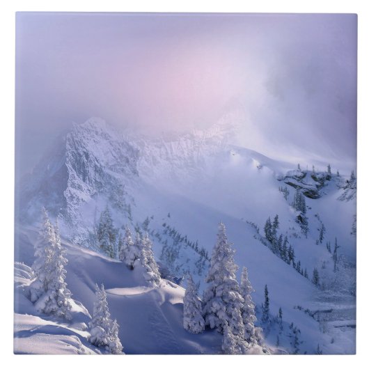 Winter 10 fliese (Vorderseite)