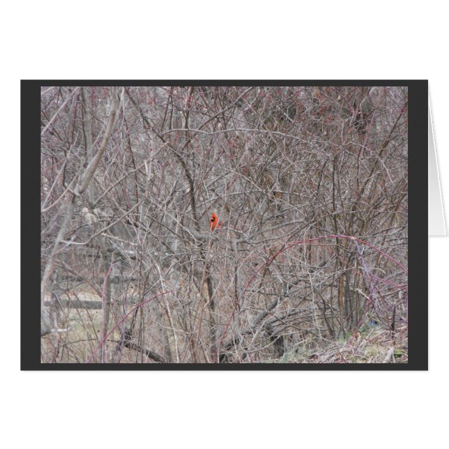 Winter ~ 14 (Vorderseite (Horizontal))