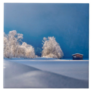 Winter 2019/07 fliese