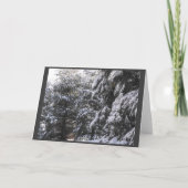 Winter ~ 25 feiertagskarte (Rückseite)