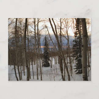 Winter-Abends-Postkarte Postkarte