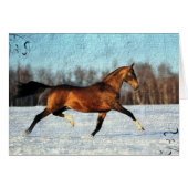 Winter Akhal-teke (Vorderseite (Horizontal))