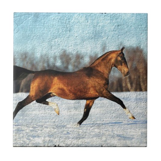 Winter Akhal-teke Fliese (Vorderseite)